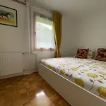 Karavanke Getaway * Hrusica (Jesenice)