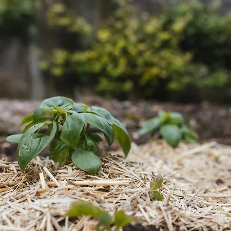 Apartamento Karavanke Getaway