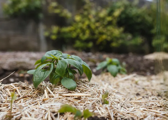 Apartment Karavanke Getaway